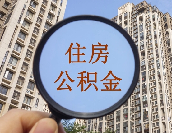济宁退休后查不到公积金明细了吗（退休后公积金查询不到原因）
